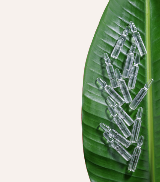 The Stem Cells Ampoules - Revilin